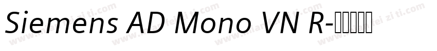 Siemens AD Mono VN R字体转换